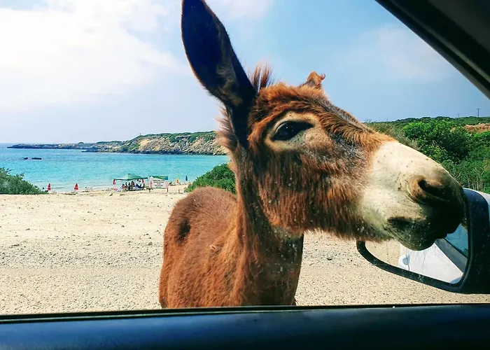 Appartement Sea Magic Park Cyprus Mup Agios Georgios (Girne)