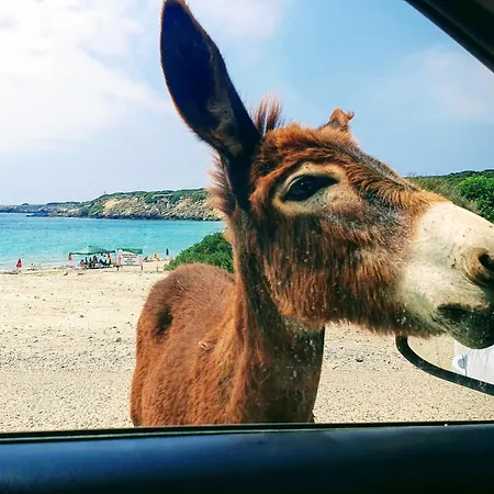 Apartment Sea Magic Park Cyprus Mup Agios Georgios (Girne)